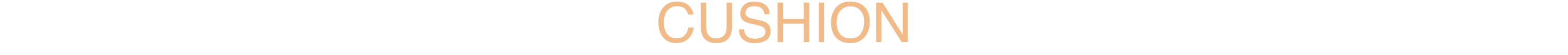 section_logo