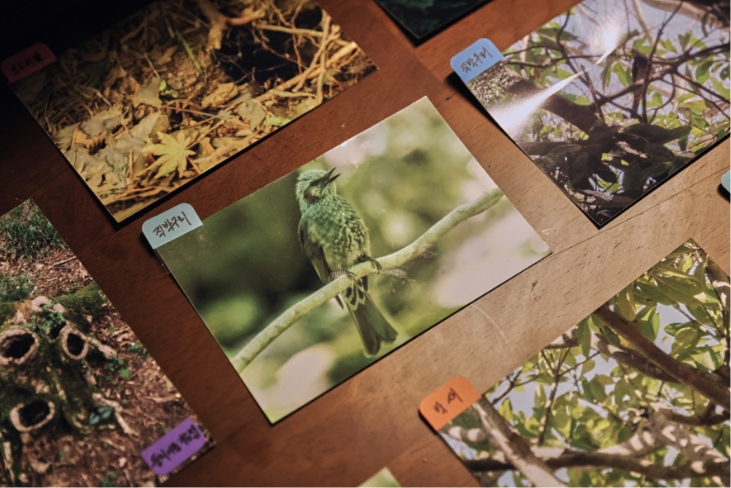 Exhibitions that awaken ecological sensibilities Eoseungsaeng Oreum, walking through nature @innisfree jeju house 어승생오름, 자연을 걷다 展 @이니스프리 제주하우스 24_112_04_da3_00_b