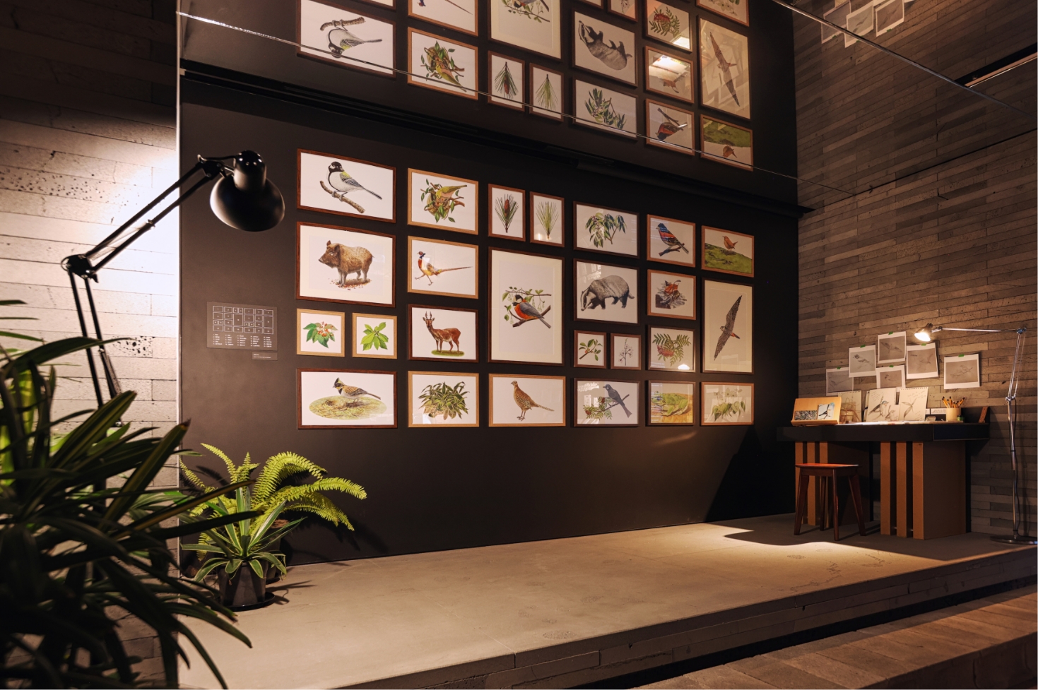 Exhibitions that awaken ecological sensibilities Eoseungsaeng Oreum, walking through nature @innisfree jeju house 어승생오름, 자연을 걷다 展 @이니스프리 제주하우스 24_112_05