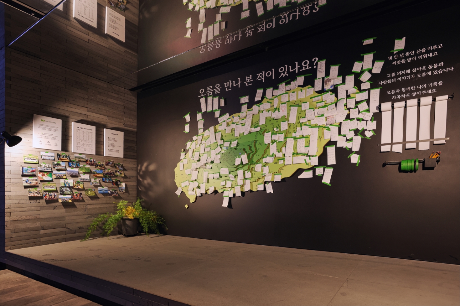 Exhibitions that awaken ecological sensibilities Eoseungsaeng Oreum, walking through nature @innisfree jeju house 어승생오름, 자연을 걷다 展 @이니스프리 제주하우스 24_112_07