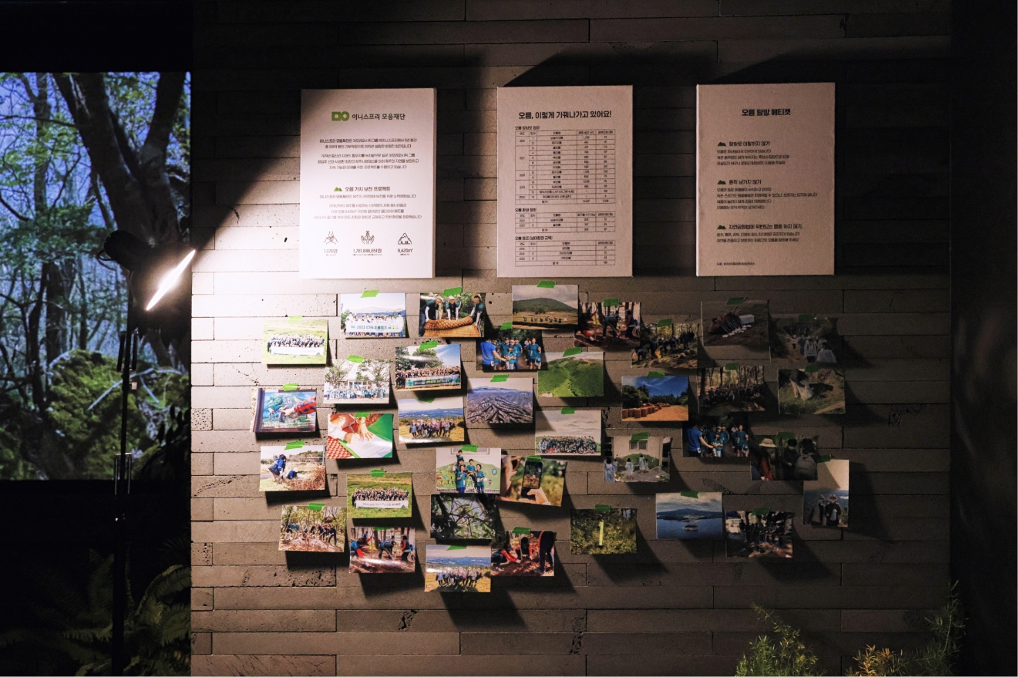 Exhibitions that awaken ecological sensibilities Eoseungsaeng Oreum, walking through nature @innisfree jeju house 어승생오름, 자연을 걷다 展 @이니스프리 제주하우스 24_112_08