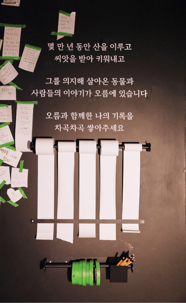 Exhibitions that awaken ecological sensibilities Eoseungsaeng Oreum, walking through nature @innisfree jeju house 어승생오름, 자연을 걷다 展 @이니스프리 제주하우스 24_112_09_da4_00