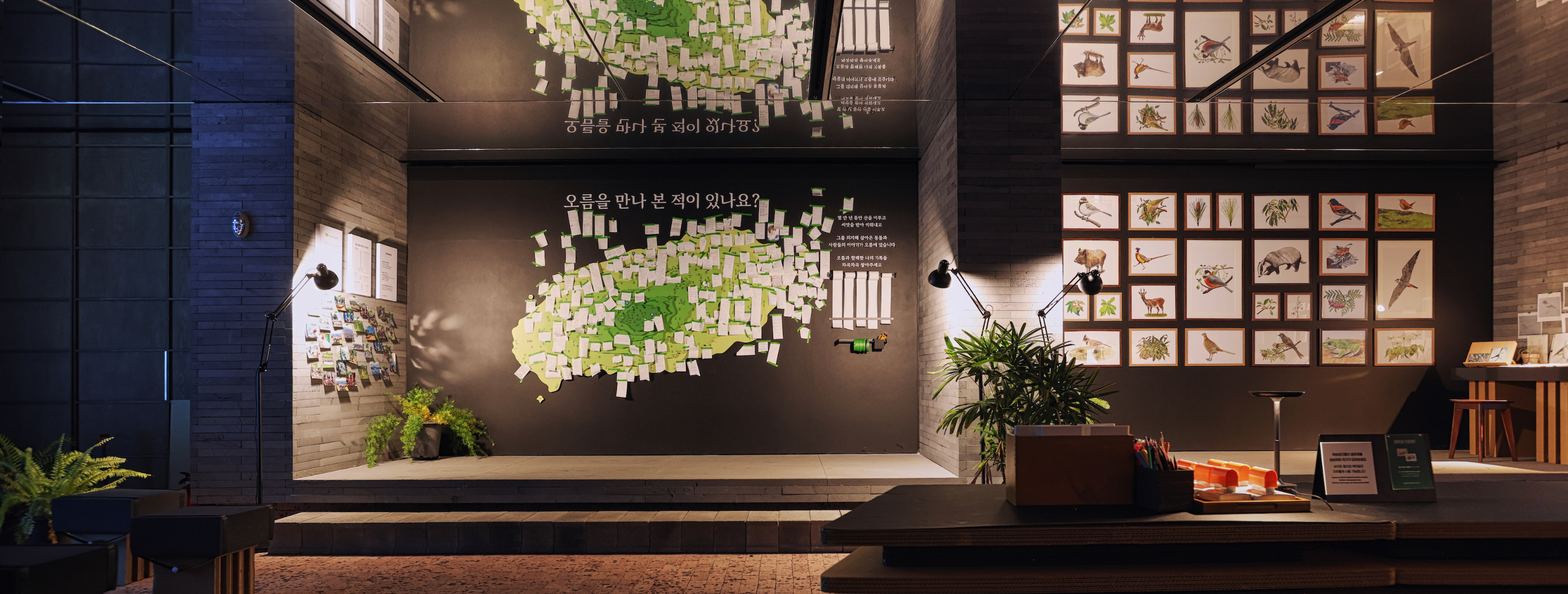 Exhibitions that awaken ecological sensibilities Eoseungsaeng Oreum, walking through nature @innisfree jeju house 어승생오름, 자연을 걷다 展 @이니스프리 제주하우스 24_112_10_sld_00