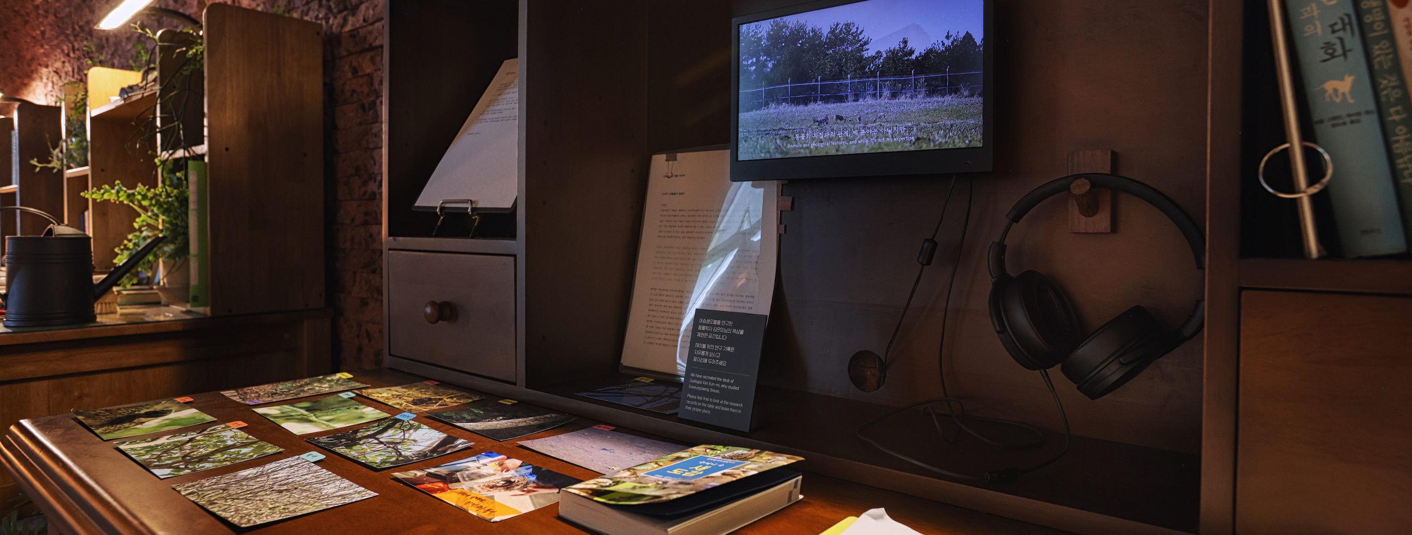 Exhibitions that awaken ecological sensibilities Eoseungsaeng Oreum, walking through nature @innisfree jeju house 어승생오름, 자연을 걷다 展 @이니스프리 제주하우스 24_112_10_sld_01
