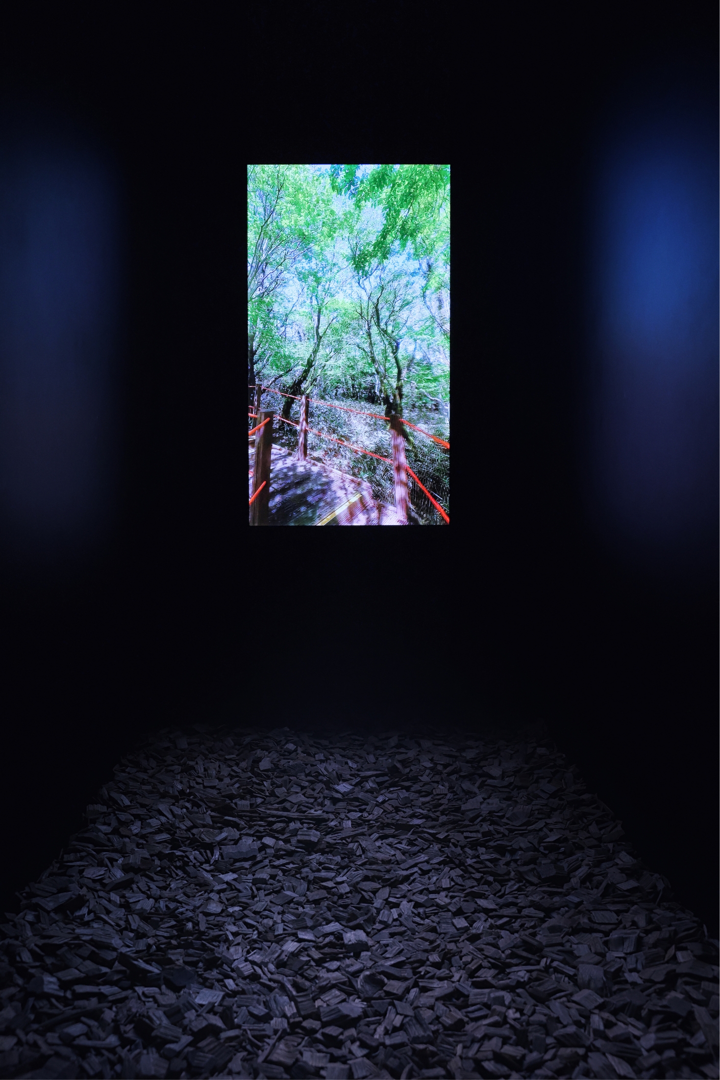 Exhibitions that awaken ecological sensibilities Eoseungsaeng Oreum, walking through nature @innisfree jeju house 어승생오름, 자연을 걷다 展 @이니스프리 제주하우스 24_112_14