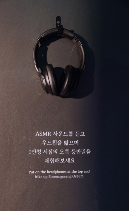 Exhibitions that awaken ecological sensibilities Eoseungsaeng Oreum, walking through nature @innisfree jeju house 어승생오름, 자연을 걷다 展 @이니스프리 제주하우스 24_112_15_da2_01