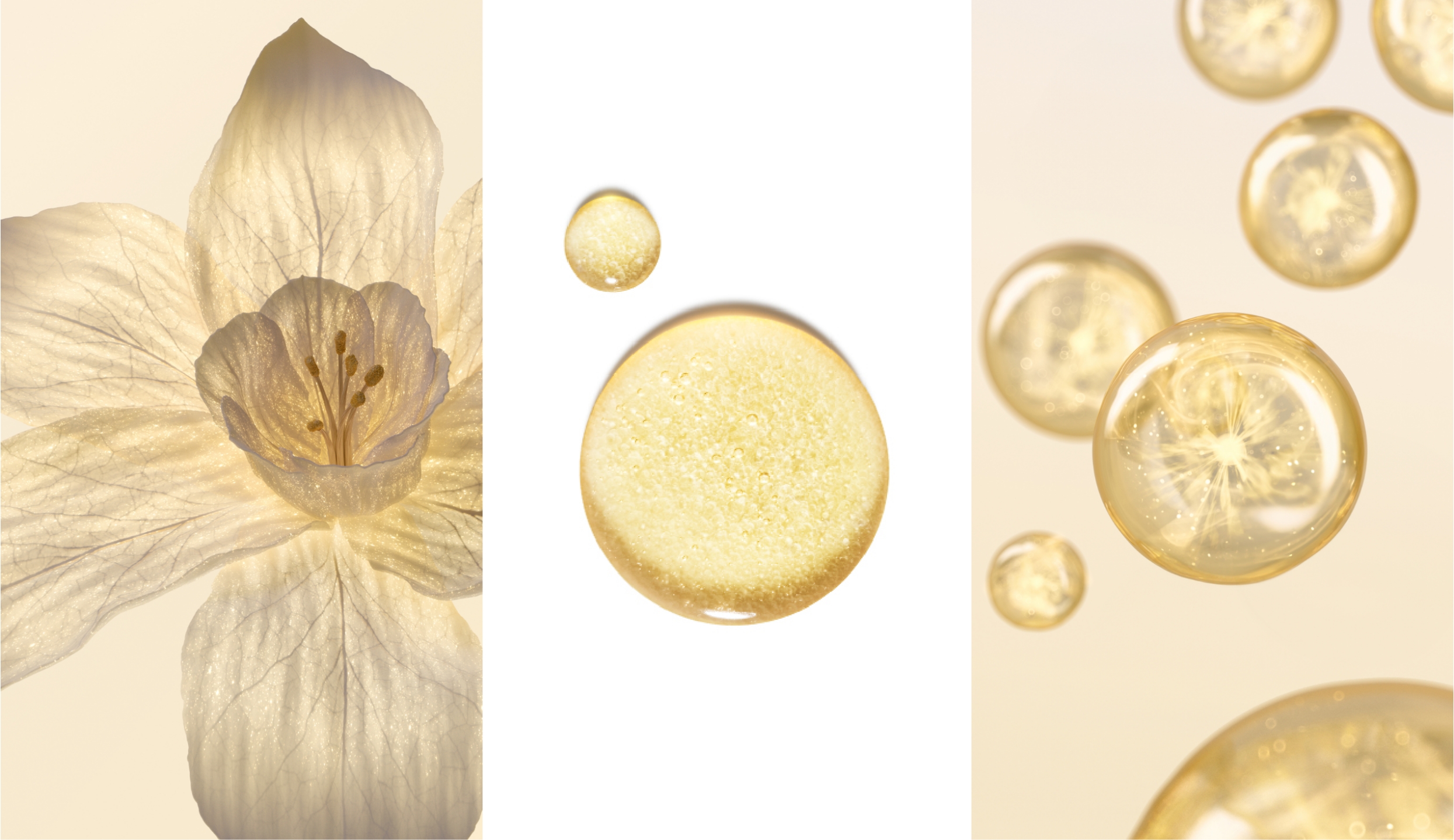 HERA Signa Illuminating Serum 헤라 신제품 시그니아 일루미네이팅 세럼 25_02_00