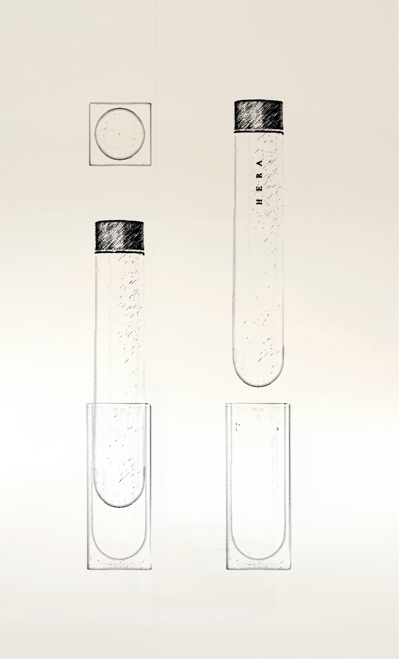 HERA Signa Illuminating Serum 헤라 신제품 시그니아 일루미네이팅 세럼 25_02_01_da2_01